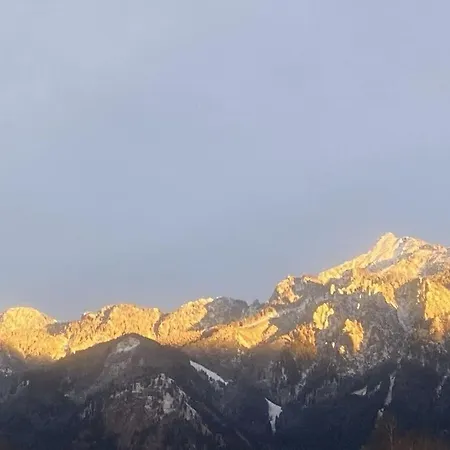 Alpenblick Comfortable Holiday home